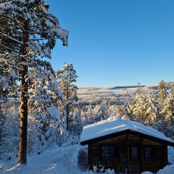 Stuga Saelen Klaeppen 5 Baeddar Uthyres Veckovis Soendag - Soendag Экстерьер фото