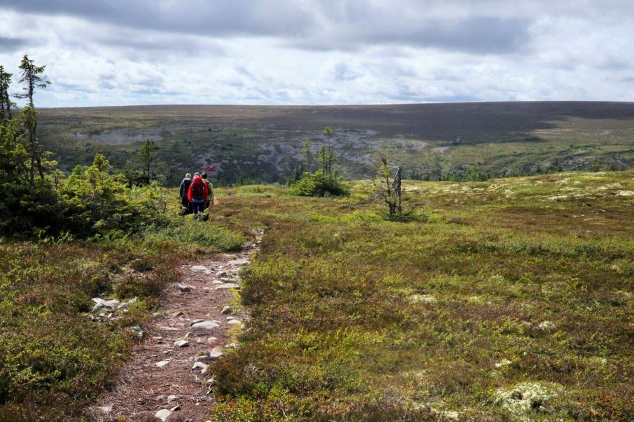 Stuga Saelen Klaeppen 5 Baeddar Uthyres Veckovis Soendag - Soendag Экстерьер фото